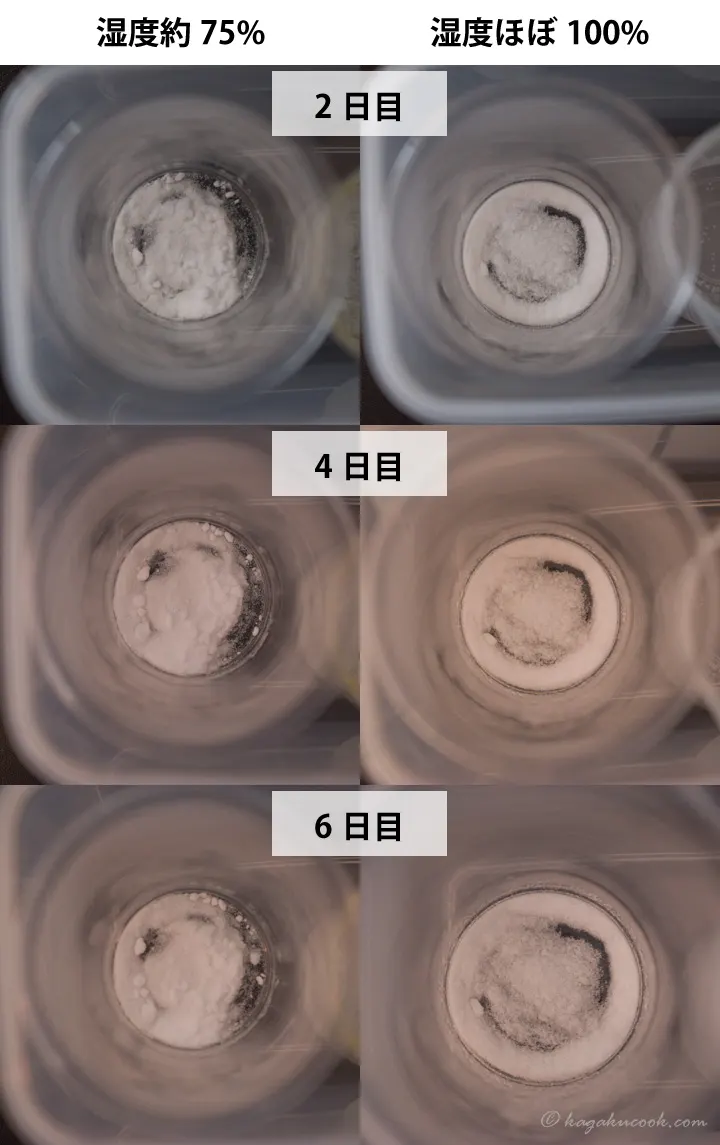 重曹を放置した際の2、4、6日目の様子をまとめた画像。いずれの湿度でも、全体が溶液になったり、目に見えて潮解が進んだりすることはなく、粉末の状態を終始保っていた。