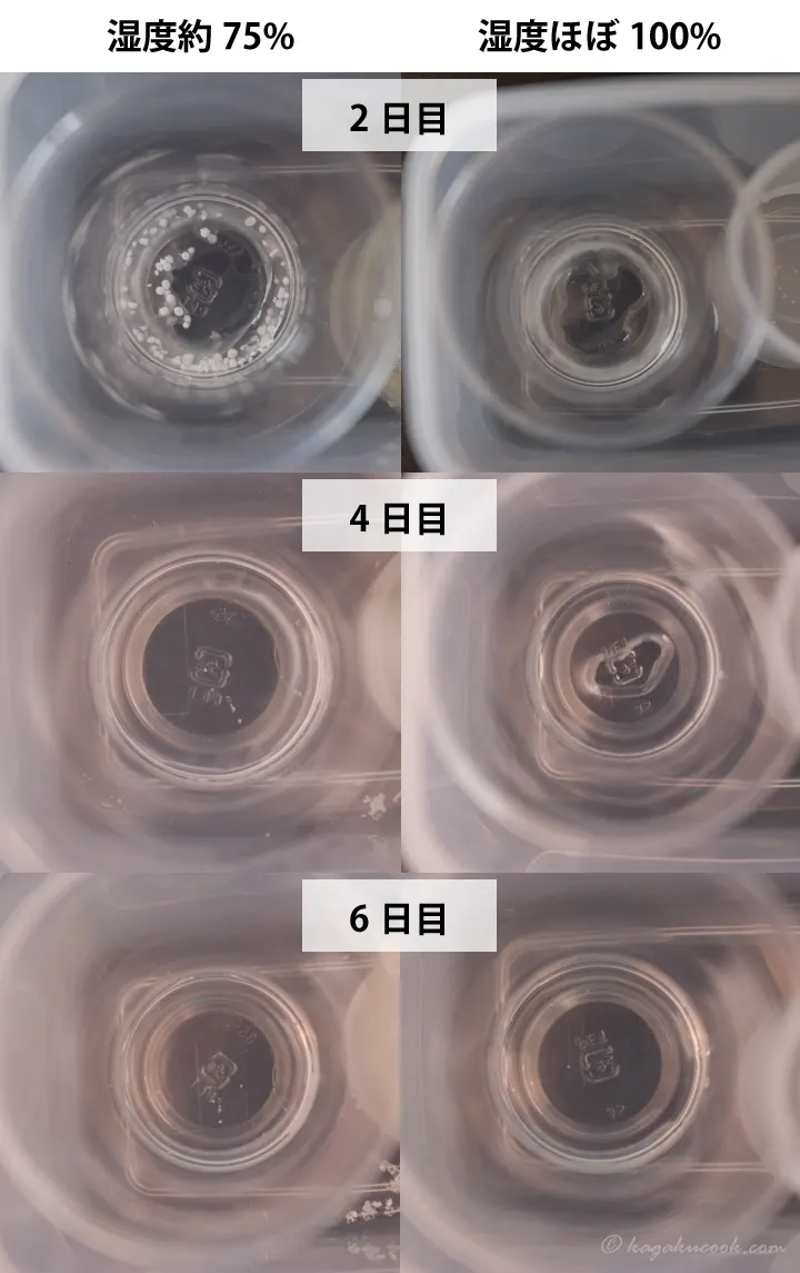 塩化カルシウムを放置した際の2、4、6日目の様子をまとめた画像。湿度約75%では、2日目には顆粒が残っていたが4日目には全て溶けて水溶液になった。湿度ほぼ100%では、2日目にはほぼ顆粒が溶けきっていた。