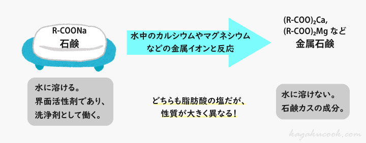 石鹸と水中の金属イオンが反応すると、金属石鹸ができ、性質も大きく変化する。金属石鹸は水に不溶である。