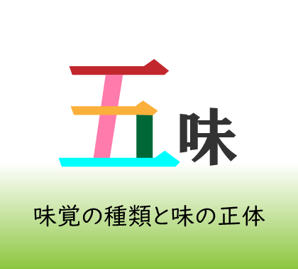 5つの基本的な味覚「五味」を詳しく解説