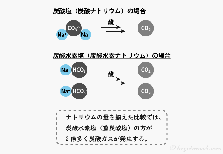 ナトリウムの量を揃えた実験では、炭酸塩に比べ、炭酸水素塩からは二倍の炭酸ガスが発生する。