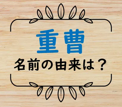 「重曹」の意味や名前の由来は？【高比重で重いから説はガセ】