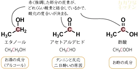 エタノール・アセトアルデヒド・酢酸とそれらの関係性