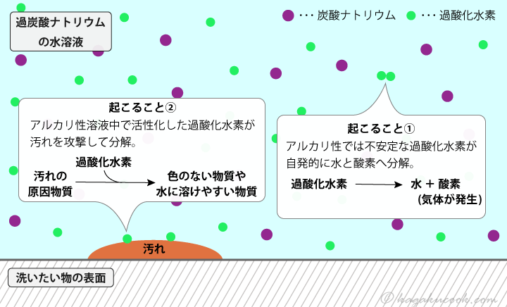 過炭酸ナトリウムでの洗浄時に起こっている2つの現象は、過酸化水素の自発的分解と、過酸化水素による汚れの分解の2つ。